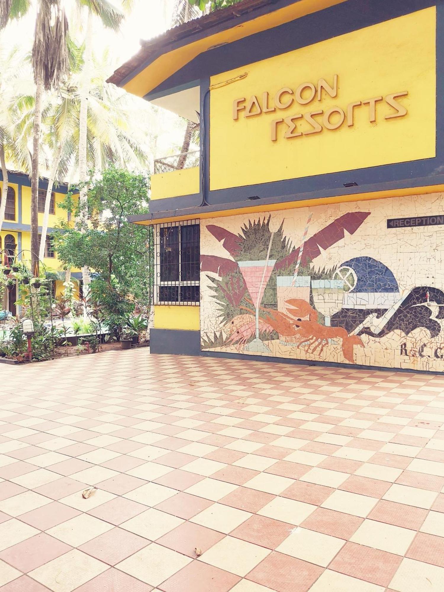 Falcon By Dia
